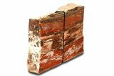 Tall, Arizona Petrified Wood Bookends - Brick Red #307171-2